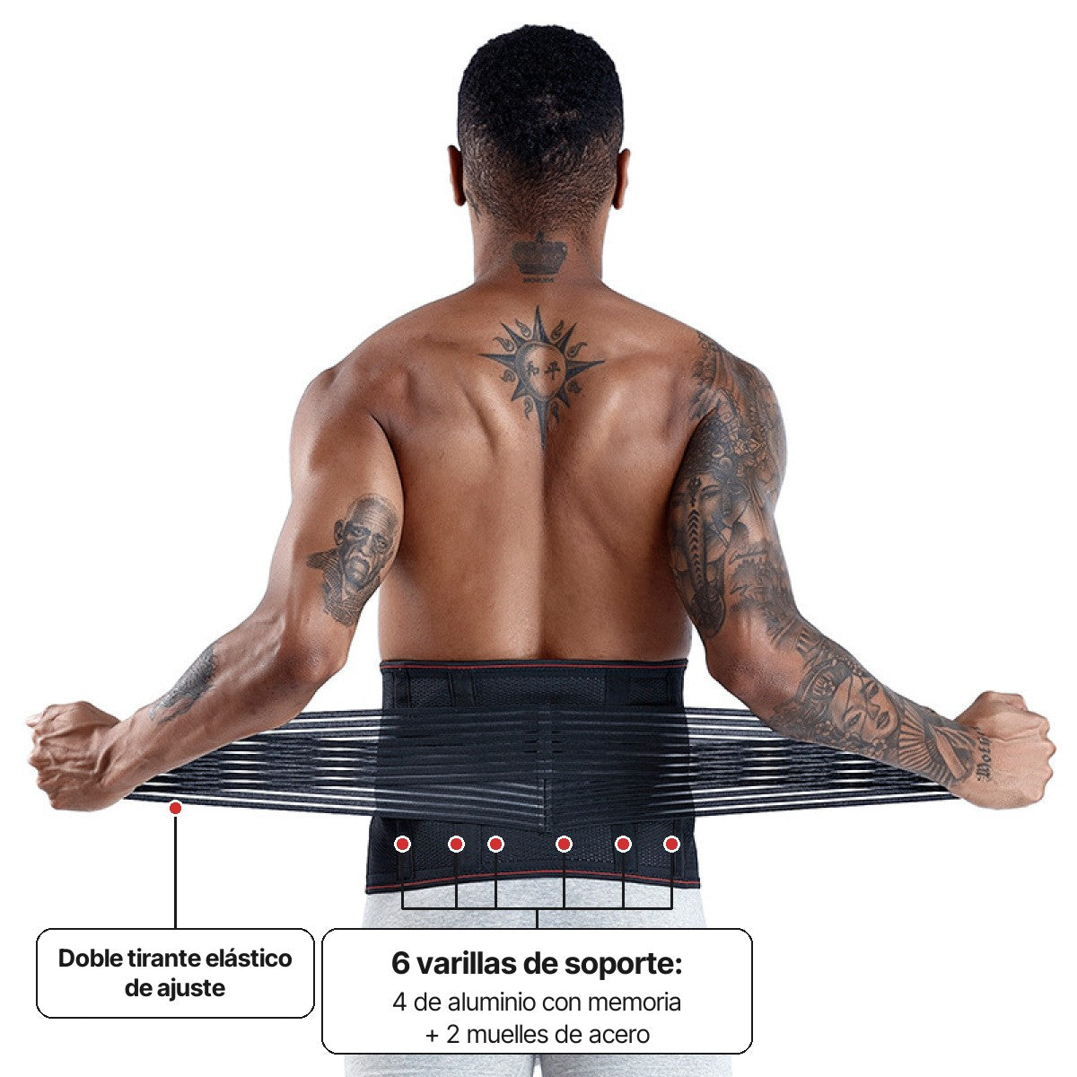Detalle de la faja: 6 varillas de soporte (4 de aluminio y 2 muelles de acero) y doble tirante elástico de ajuste